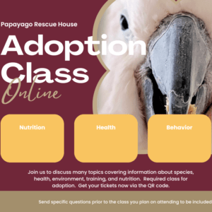 Adoption class