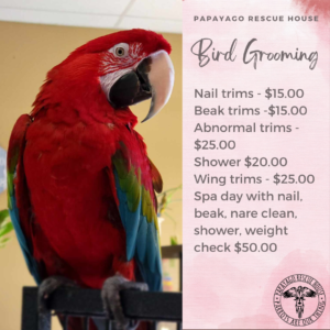Grooming