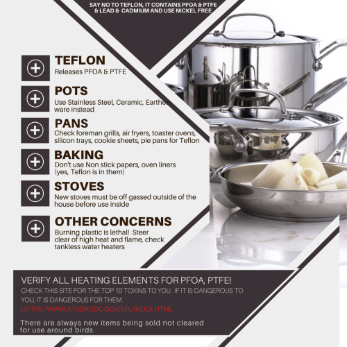 Kitchen dangers